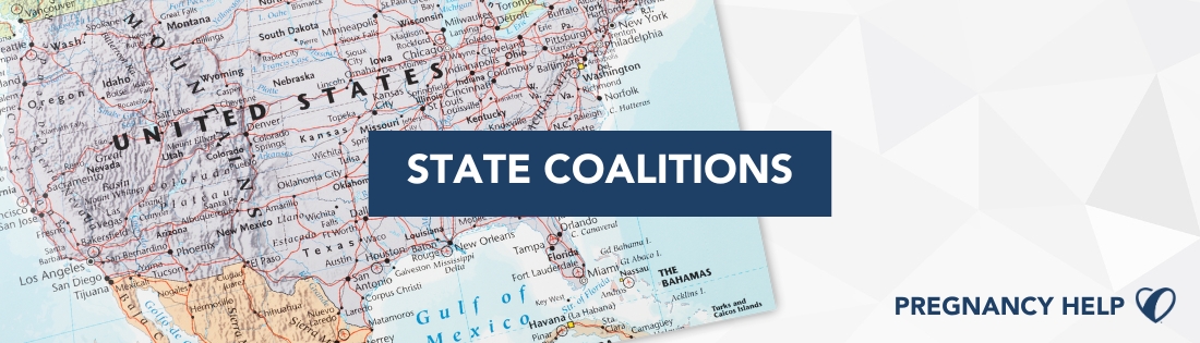 State Coalitions 1